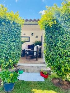 ImagenCASA LAZARO, TEGUESTE 4