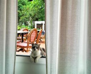 ImagenHostal Montsoliu 4