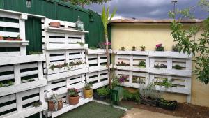 ImagenMas La Trampa 6