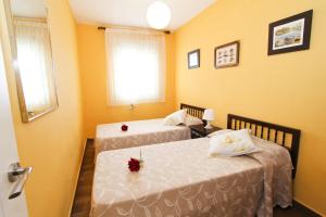 ImagenPineda 3 Planet Costa Dorada 6