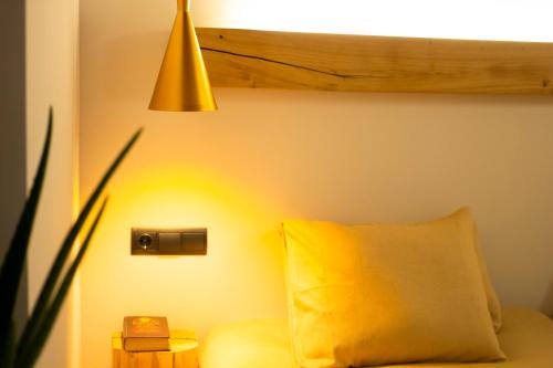 ImagenDOMUS ONCINAE FABIA 1