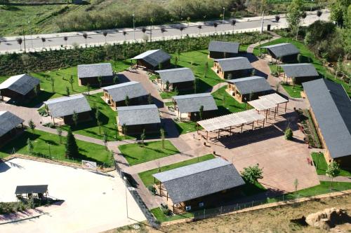 ImagenEl Bosque de los Sueños 1