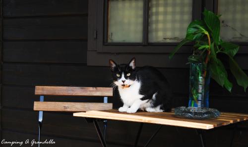 ImagenCAMPING A GRANDELLA 2