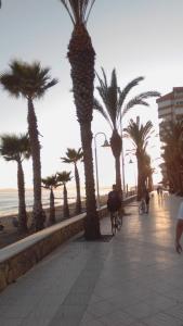 ImagenApartamento VistaGenial 3