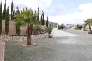 ImagenMIRADOR DE AMPARO 3