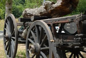 ImagenOstau dera nheu 5