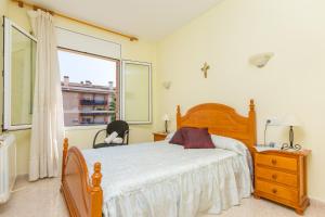 ImagenApartament Rossi 5