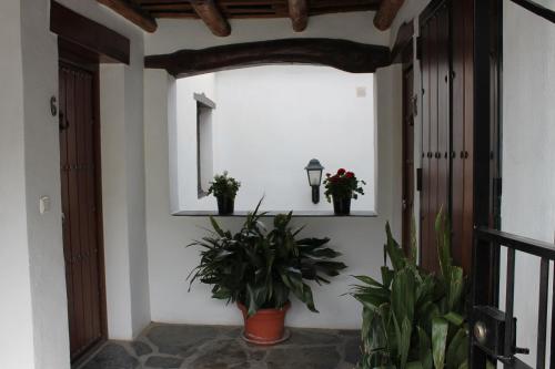 ImagenSuite Castillejo 1