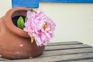 ImagenHotel Rural Terrablanca 3