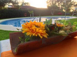 ImagenHotel Rural Terrablanca 6