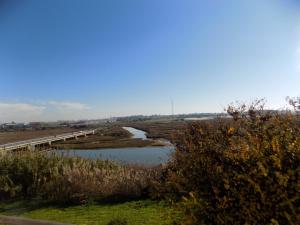 ImagenHotel Braseria La Barca 3