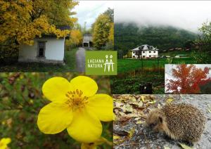 ImagenCamping Laciana Natura 6