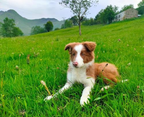 ImagenCasa del rio 2