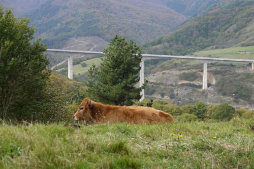 ImagenPosada Corral Mayor 1