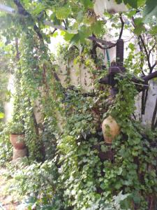 ImagenEl Sueño de Lucrecia 4