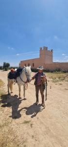 ImagenAlbergue turístico La Almazara 5