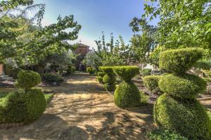 ImagenFinca Villa Juan 3