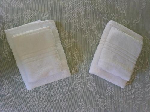 ImagenDuque De Osuna 1