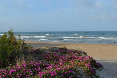 ImagenEstrella Del Mar, Denia 2
