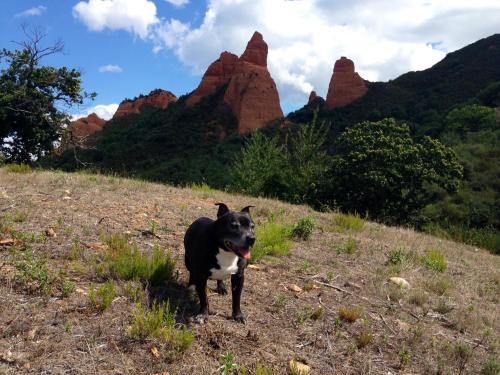 ImagenHotel Medulio 1