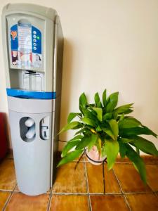 ImagenThe Traveller's Hostal Sierra De Cadiz 3