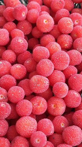 ImagenDespertar en Riglos 1