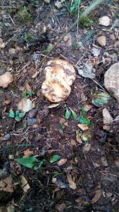 ImagenDespertar en Riglos 3