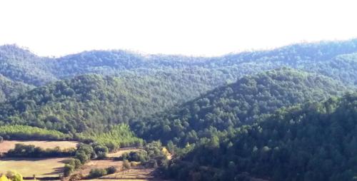 ImagenCasa Torralba 1