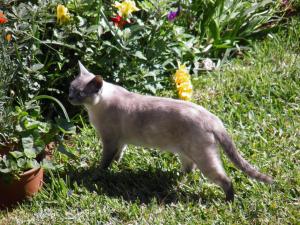 ImagenCasa La Torreta 6