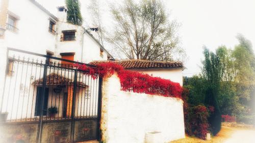 ImagenEl Molino de la laguna 1