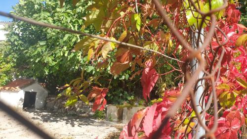 ImagenEl Molino de la laguna 2