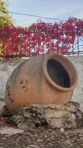 ImagenEl Molino de la laguna 5