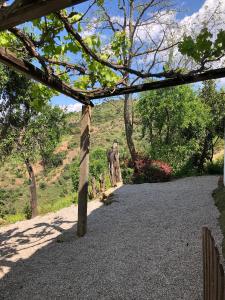 ImagenFinca Serrato 9