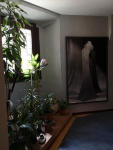 ImagenHostal San Martin 7