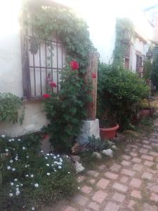 ImagenEl Sueño de Lucrecia 3