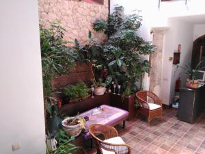 ImagenEl Sueño de Lucrecia 5