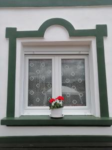 ImagenLa Casa de Colores 5