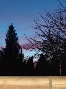 ImagenUrbano y Natural 7