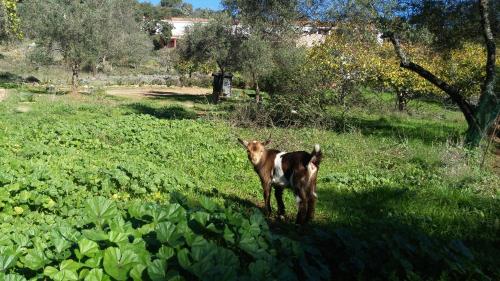 ImagenCasa Rural La Era 3 - Adults Only 2