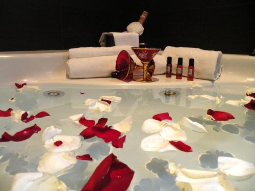 ImagenRey Don Sancho 2