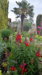 ImagenHotel Rural San Pelayo 6