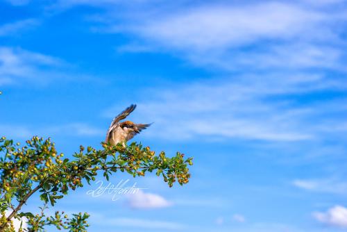 ImagenCasa Rural El Corralino 1