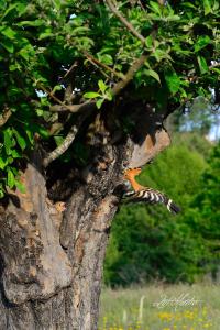ImagenCasa Rural El Corralino 4