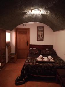 ImagenCueva El Murallon 3