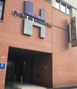 ImagenDuque de Wellington 3