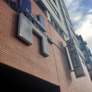 ImagenDuque de Wellington 5