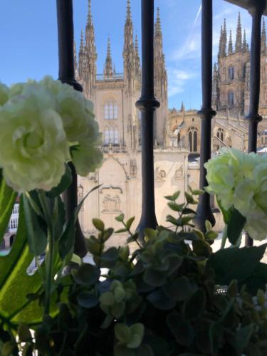 ImagenBELLA VISTA Catedral-Apartamentos Burgos Catedral 1