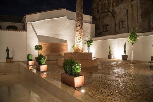 ImagenPalacio Cáceres Deluxe 1