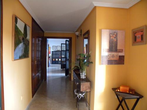 ImagenEl Jardin de los Gatos Apartament 1