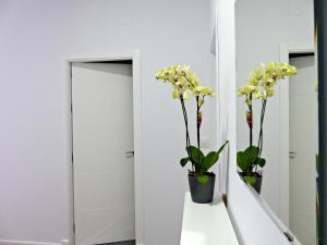 ImagenToo Many Aparts 4